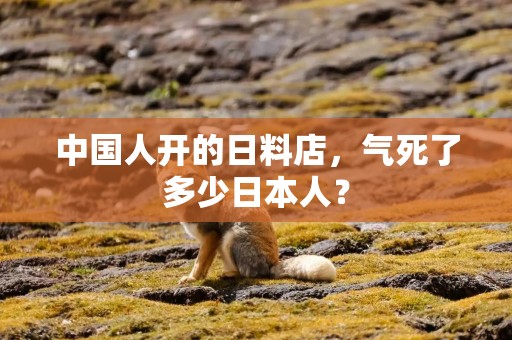 中国人开的日料店，气死了多少日本人？
