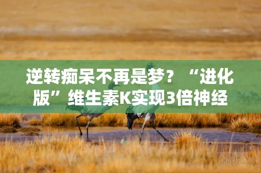 逆转痴呆不再是梦？“进化版”维生素K实现3倍神经再生！