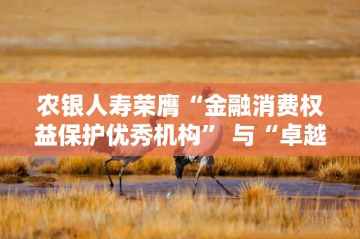 农银人寿荣膺“金融消费权益保护优秀机构” 与“卓越养老金融模范奖”两项大奖