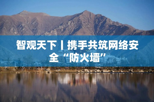 智观天下丨携手共筑网络安全“防火墙”