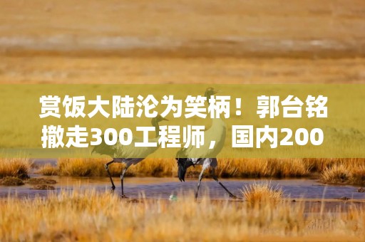 赏饭大陆沦为笑柄！郭台铭撤走300工程师，国内200亿工厂要黄了？