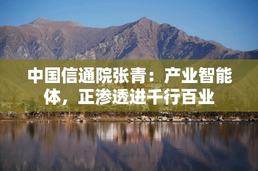 中国信通院张青：产业智能体，正渗透进千行百业