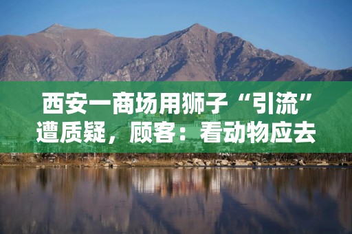 西安一商场用狮子“引流”遭质疑，顾客：看动物应去动物园