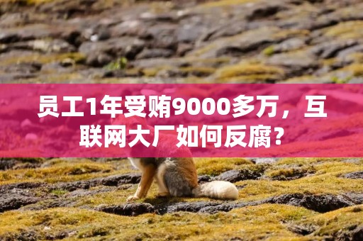 员工1年受贿9000多万，互联网大厂如何反腐？