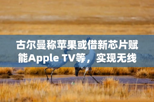 古尔曼称苹果或借新芯片赋能Apple TV等，实现无线接入点功能