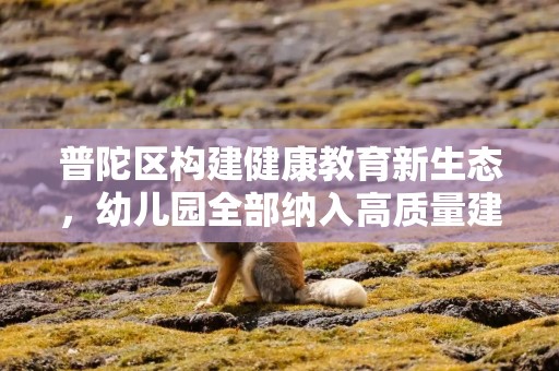 普陀区构建健康教育新生态，幼儿园全部纳入高质量建设体系
