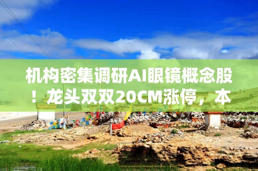 机构密集调研AI眼镜概念股！龙头双双20CM涨停，本月接待量居前热门股名单来了