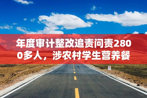 年度审计整改追责问责2800多人，涉农村学生营养餐金额超40亿