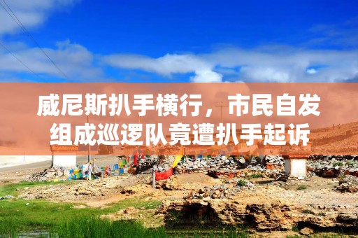 威尼斯扒手横行，市民自发组成巡逻队竟遭扒手起诉