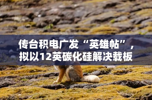 传台积电广发“英雄帖”，拟以12英碳化硅解决载板散热问题