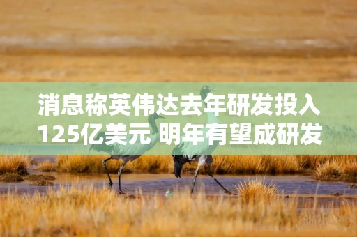 消息称英伟达去年研发投入125亿美元 明年有望成研发投入最高半导体厂商