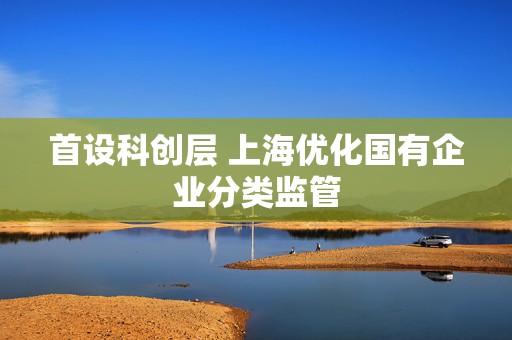 首设科创层 上海优化国有企业分类监管