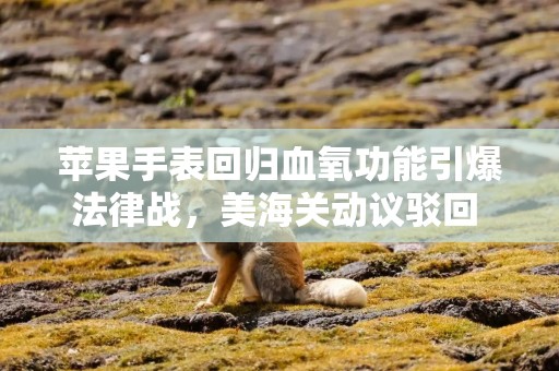 苹果手表回归血氧功能引爆法律战，美海关动议驳回 Masimo 上诉