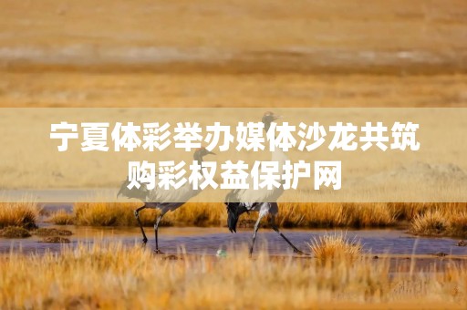 宁夏体彩举办媒体沙龙共筑购彩权益保护网