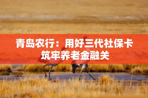 青岛农行：用好三代社保卡 筑牢养老金融关