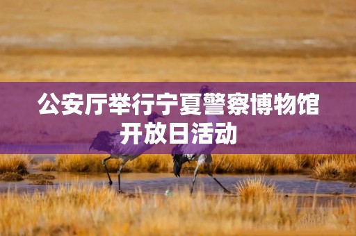 公安厅举行宁夏警察博物馆开放日活动