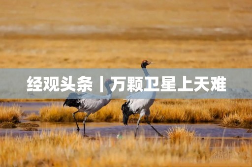 经观头条｜万颗卫星上天难