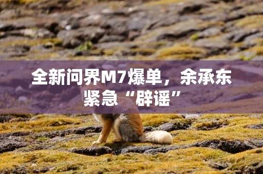 全新问界M7爆单，余承东紧急“辟谣”