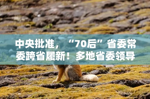 中央批准，“70后”省委常委跨省履新！多地省委领导班子密集调整