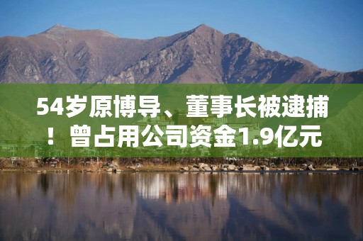 54岁原博导、董事长被逮捕！曾占用公司资金1.9亿元