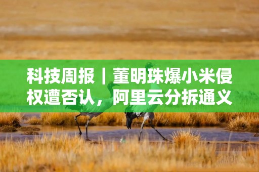 科技周报｜董明珠爆小米侵权遭否认，阿里云分拆通义，微信测试小店送礼物