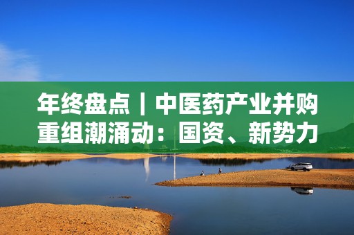 年终盘点｜中医药产业并购重组潮涌动：国资、新势力加速入局，融合发展成关键