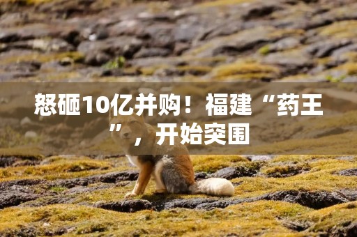 怒砸10亿并购！福建“药王”，开始突围