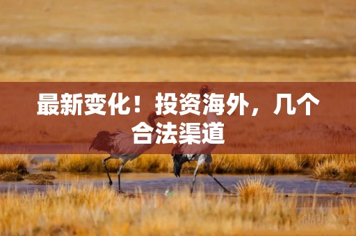 最新变化！投资海外，几个合法渠道