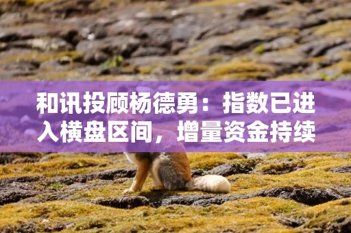 和讯投顾杨德勇：指数已进入横盘区间，增量资金持续流入