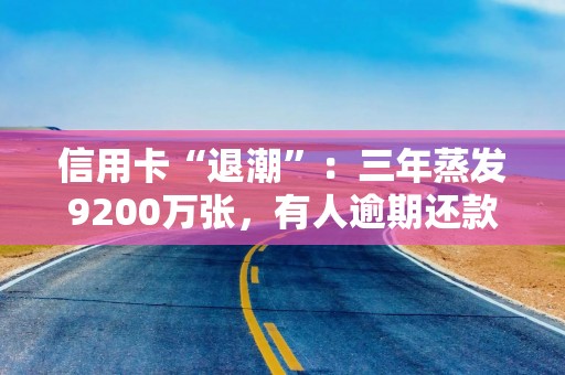 信用卡“退潮”：三年蒸发9200万张，有人逾期还款2天利息超1000元