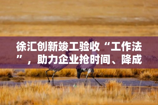 徐汇创新竣工验收“工作法”，助力企业抢时间、降成本、赢先机