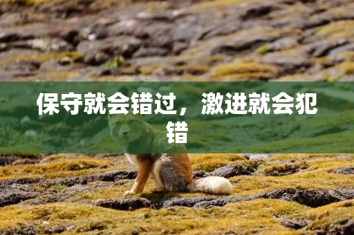 保守就会错过，激进就会犯错