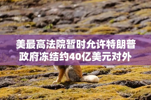 美最高法院暂时允许特朗普政府冻结约40亿美元对外援助资金