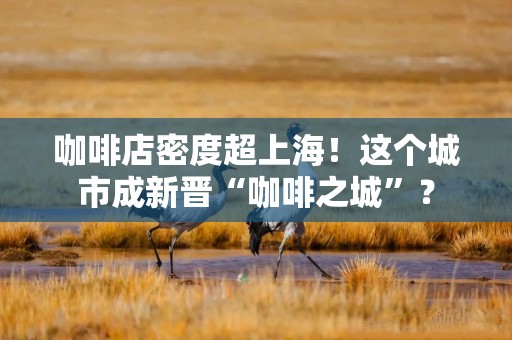 咖啡店密度超上海！这个城市成新晋“咖啡之城”？