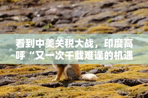 看到中美关税大战，印度高呼“又一次千载难逢的机遇”