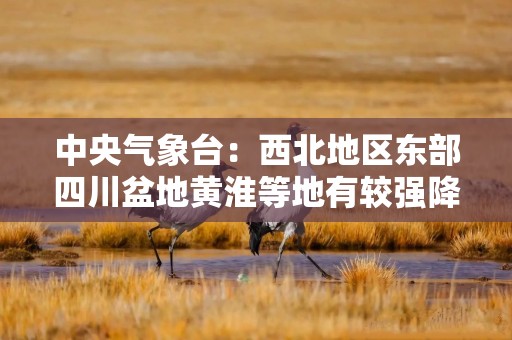 中央气象台：西北地区东部四川盆地黄淮等地有较强降水