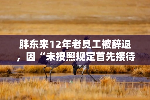 胖东来12年老员工被辞退，因“未按照规定首先接待顾客”；法院判决：其行为违反制度，驳回赔偿请求
