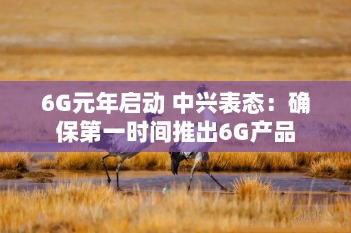 6G元年启动 中兴表态：确保第一时间推出6G产品