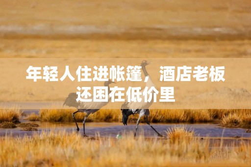 年轻人住进帐篷，酒店老板还困在低价里