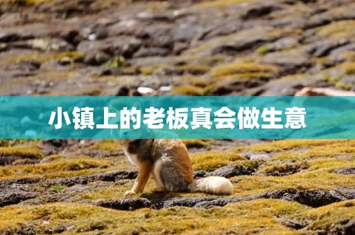 小镇上的老板真会做生意