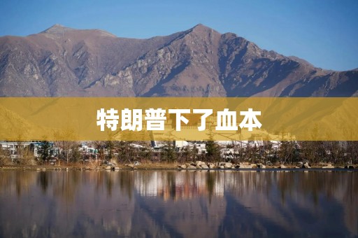 特朗普下了血本