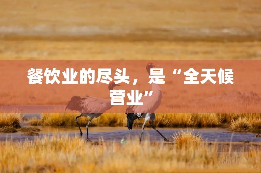 餐饮业的尽头，是“全天候营业”