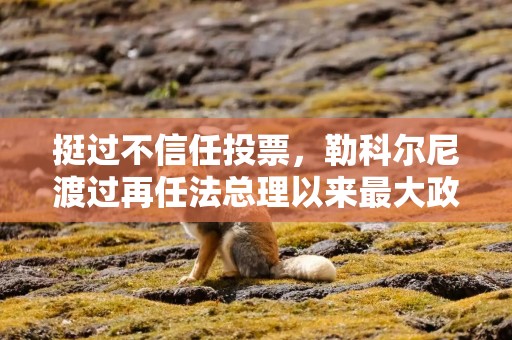 挺过不信任投票，勒科尔尼渡过再任法总理以来最大政治考验