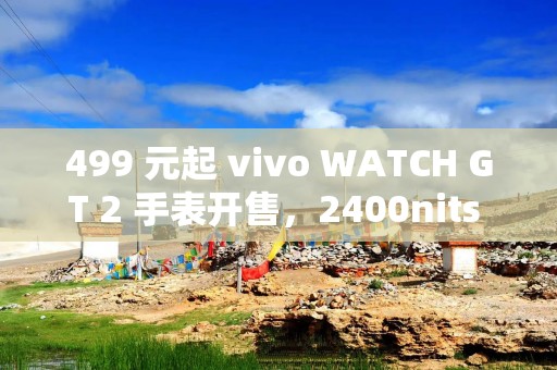 499 元起 vivo WATCH GT 2 手表开售，2400nits 高亮高刷屏