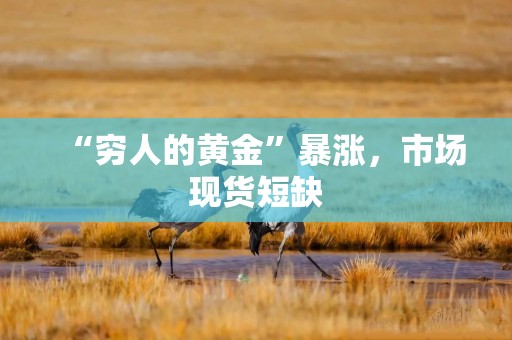 “穷人的黄金”暴涨，市场现货短缺