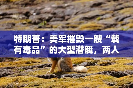 特朗普：美军摧毁一艘“载有毒品”的大型潜艇，两人被打死