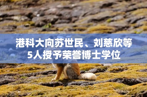 港科大向苏世民、刘慈欣等5人授予荣誉博士学位