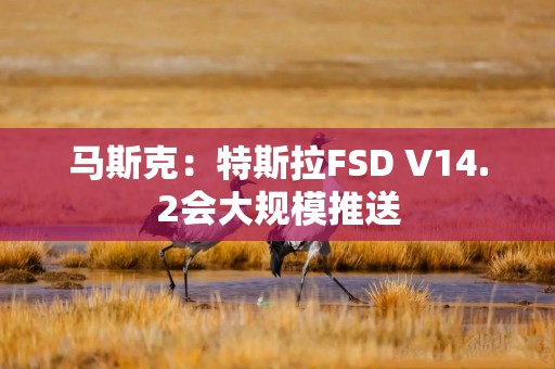 马斯克：特斯拉FSD V14.2会大规模推送