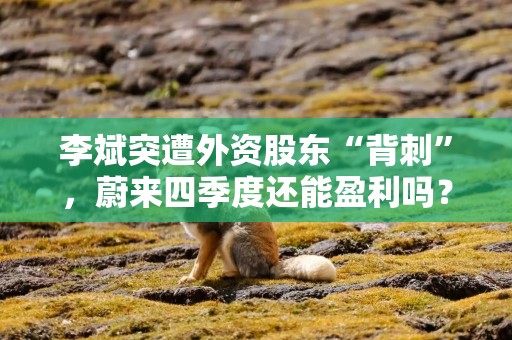 李斌突遭外资股东“背刺”，蔚来四季度还能盈利吗？