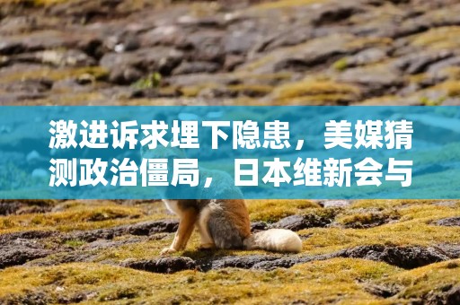 激进诉求埋下隐患，美媒猜测政治僵局，日本维新会与自民党谈妥联合执政